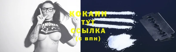мдпв Артём
