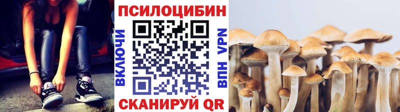 Галлюциногенные грибы Magic Shrooms  Рошаль 