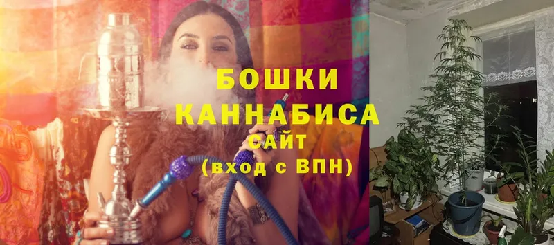 Конопля SATIVA & INDICA  darknet клад  Рошаль 